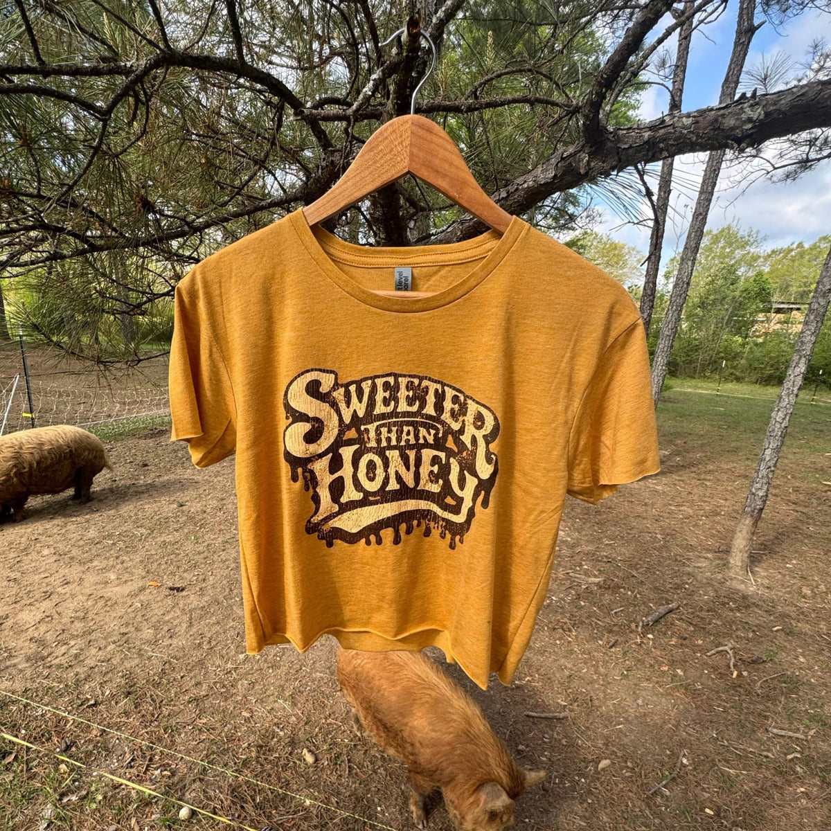 Sweeter Than Honey Crop - Top - Agenda Trading Company